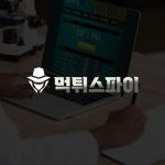 2. MT-Spy